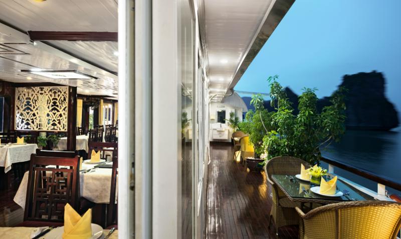 Paloma Cruise Paloma Cruise