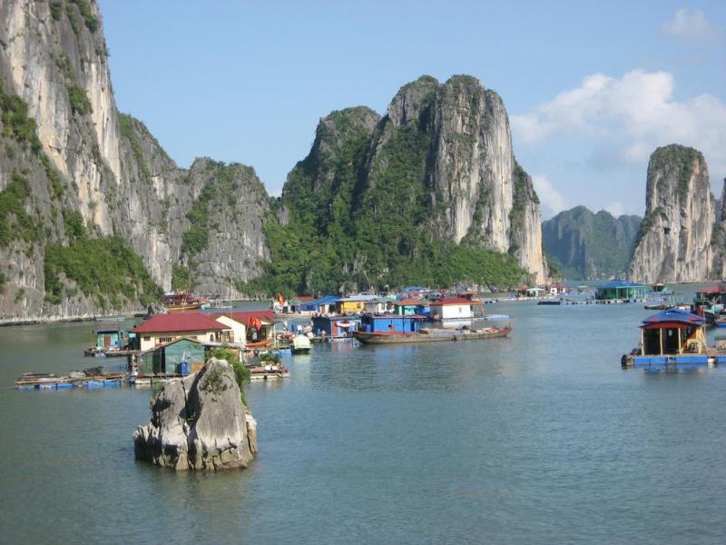 Paloma Cruise Paloma Cruise