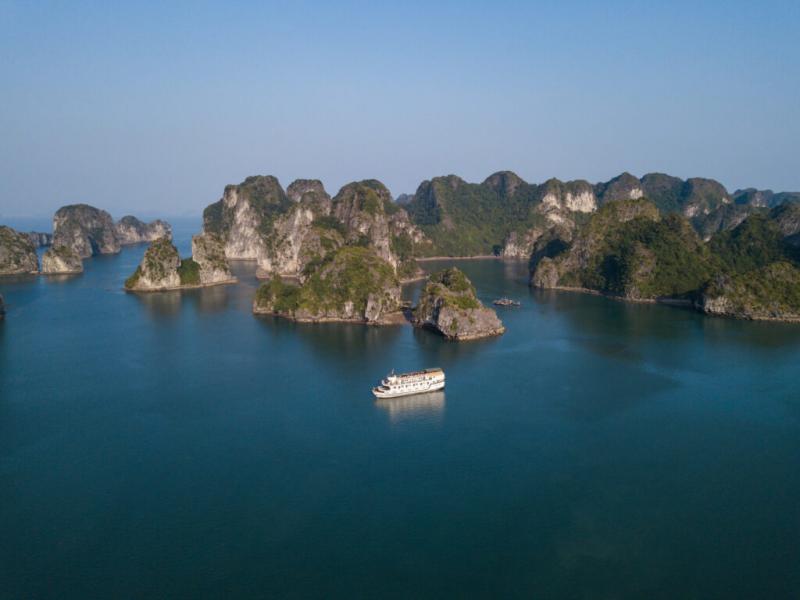 Paloma Cruise Paloma Cruise