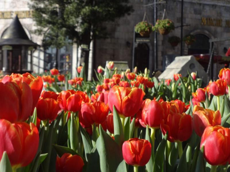 Bana Hills - Fantastic Land Bana Hills - Fantastic Land