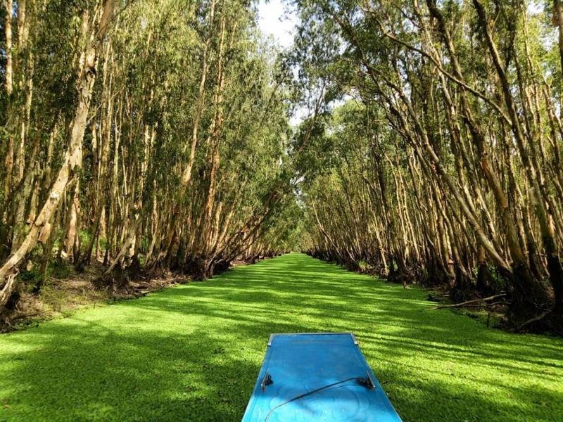 Mekong Delta - Unique Vietnam Mekong Delta - Unique Vietnam